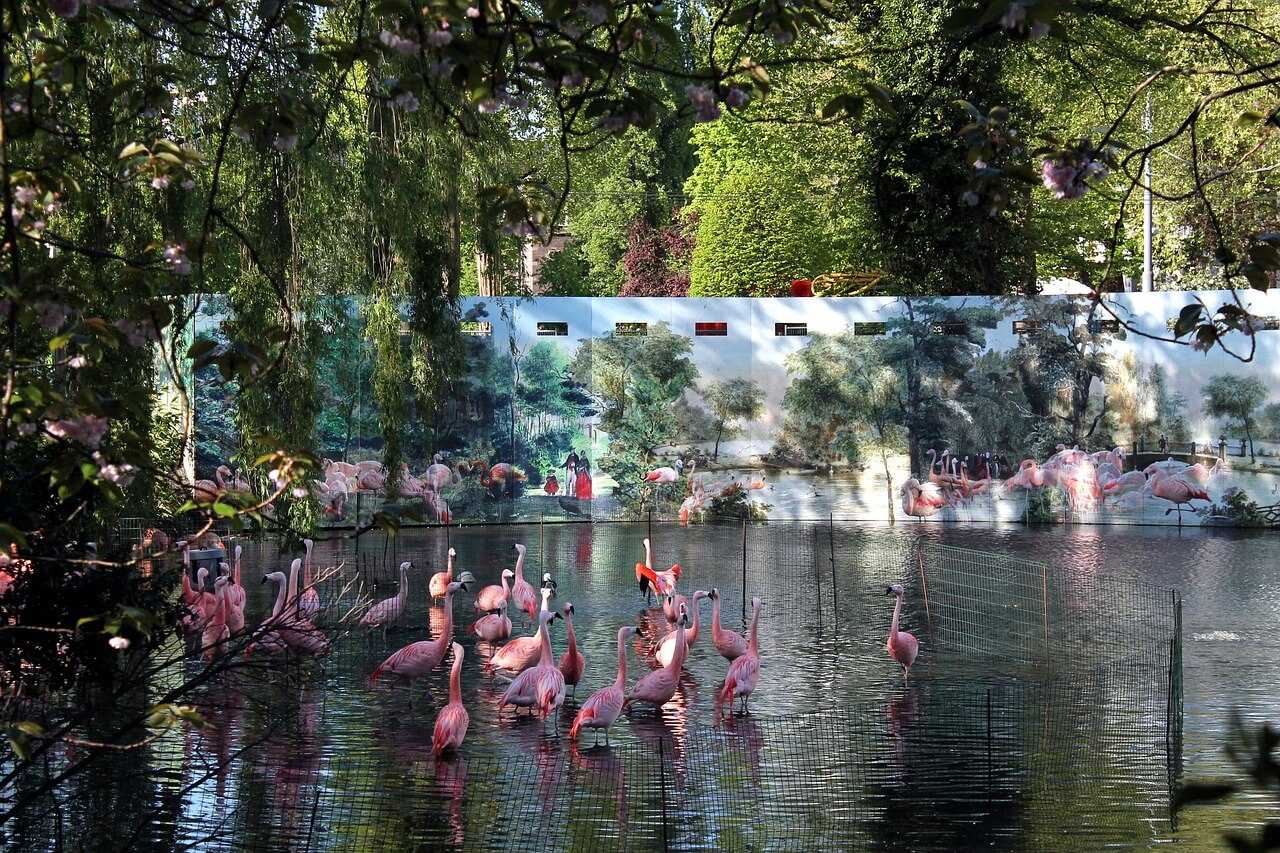Artis Zoo Amsterdam – cea mai frumoasa gradina zoologica