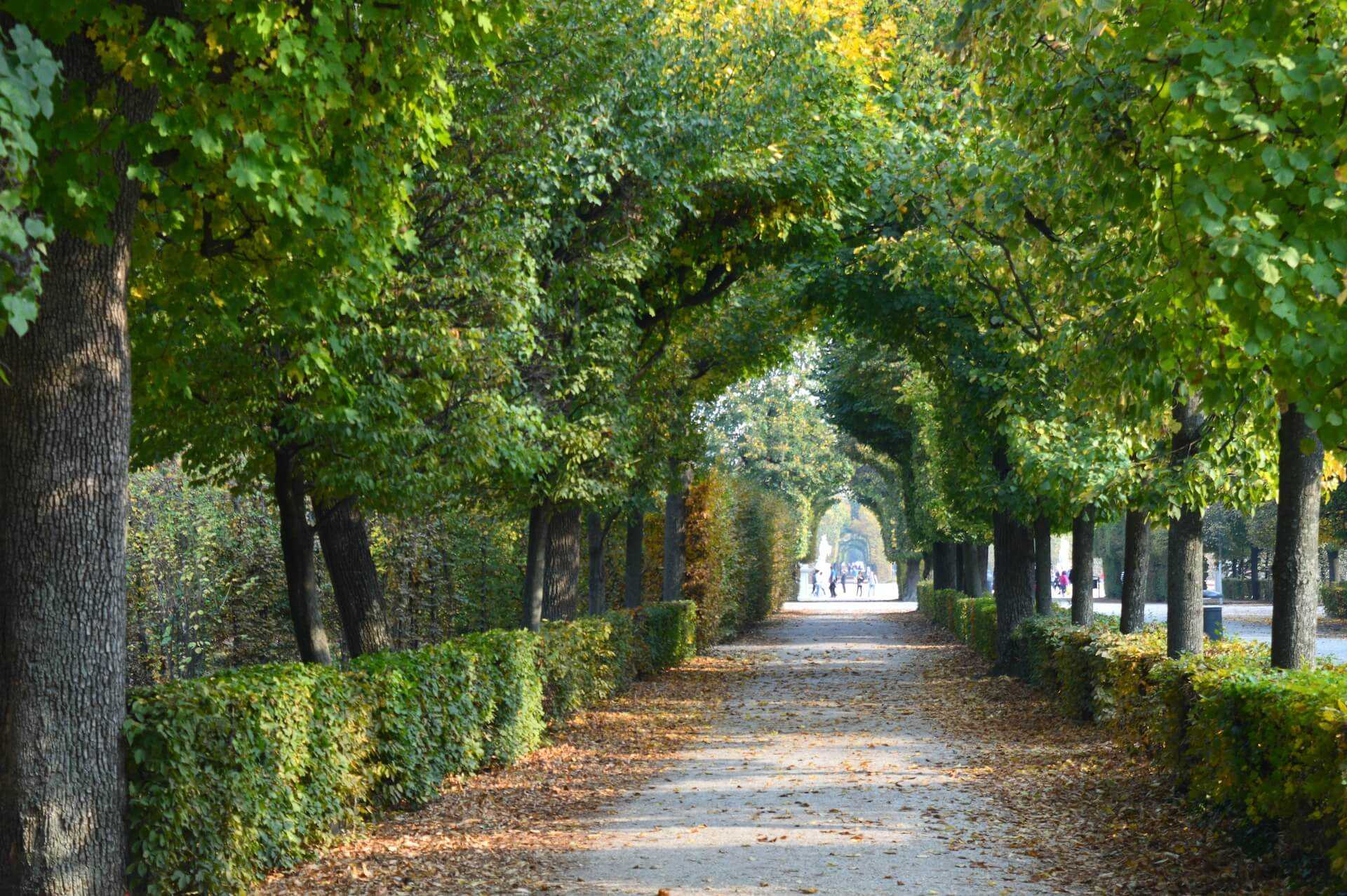 Gradina zoologica Schonbrunn