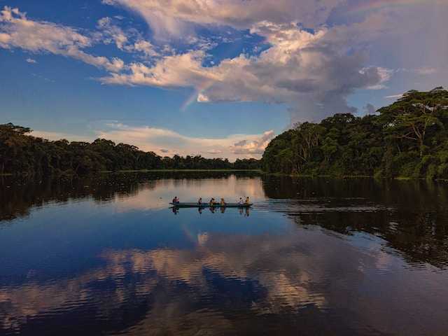 Padurea Amazoniana - iadul verde