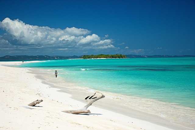 Insula Madagascar - o frumusețe a naturii