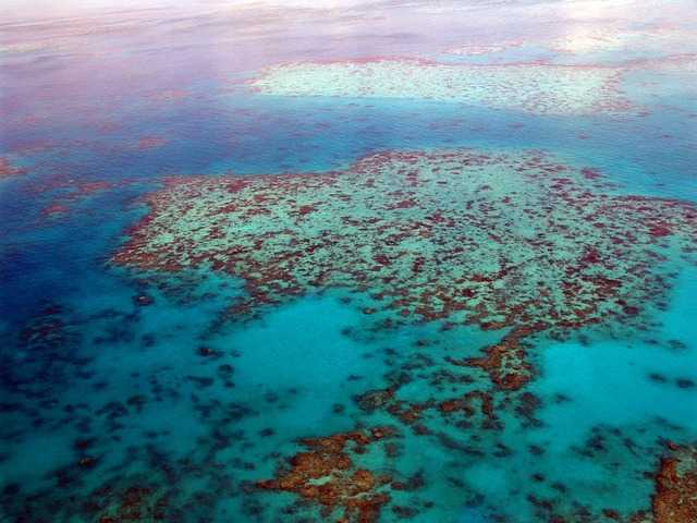 Marea bariera de corali - paradisul subacvatic