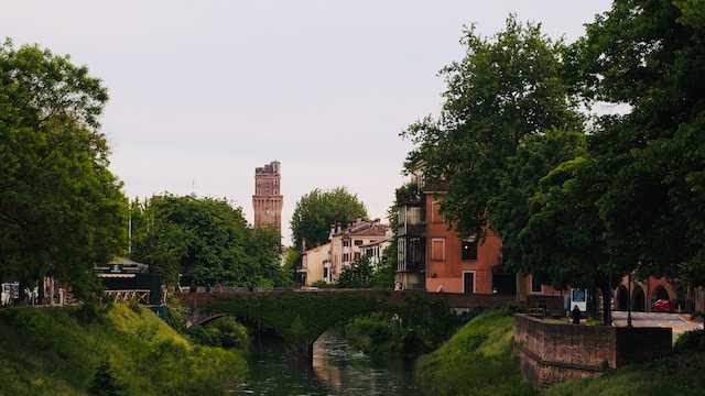 Grădina botanică Padova